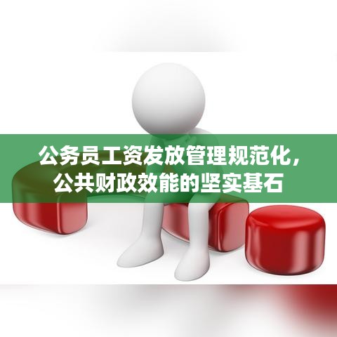 公務(wù)員工資發(fā)放管理規(guī)范化，公共財政效能的堅實基石