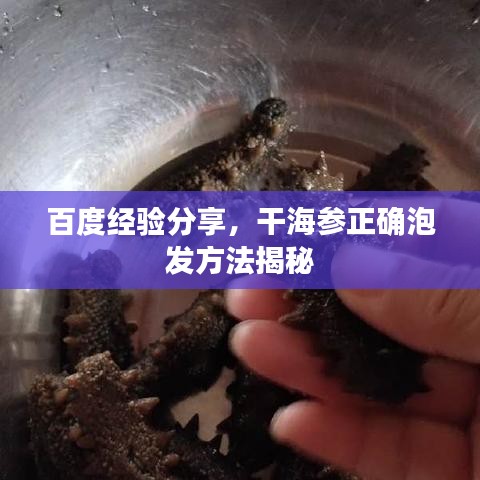 百度經(jīng)驗分享，干海參正確泡發(fā)方法揭秘