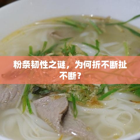 粉條韌性之謎，為何折不斷扯不斷？