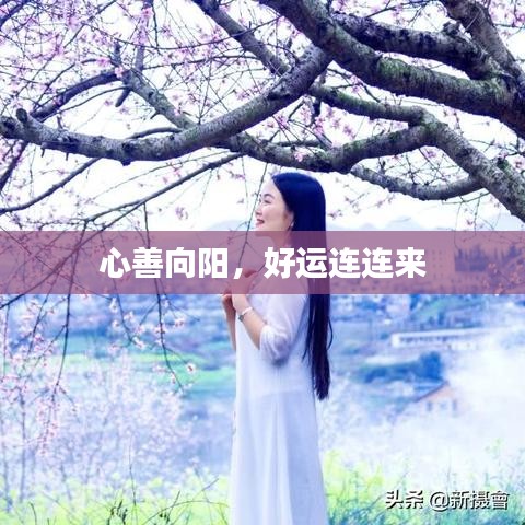 心善向陽(yáng)，好運(yùn)連連來(lái)