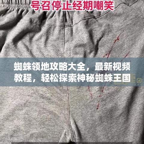 蜘蛛領(lǐng)地攻略大全，最新視頻教程，輕松探索神秘蜘蛛王國！