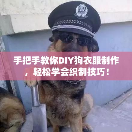 手把手教你DIY狗衣服制作，輕松學(xué)會織制技巧！
