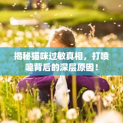 揭秘貓咪過敏真相，打噴嚏背后的深層原因！