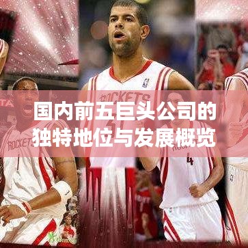 國內(nèi)前五巨頭公司的獨特地位與發(fā)展概覽