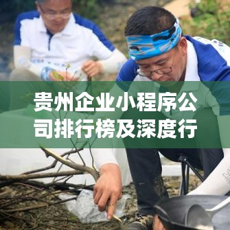 貴州企業(yè)小程序公司排行榜及深度行業(yè)洞察揭秘！
