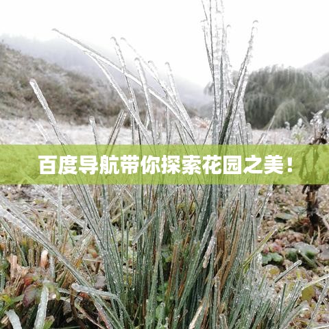 百度導(dǎo)航帶你探索花園之美！