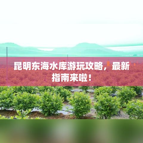 昆明東海水庫游玩攻略，最新指南來啦！